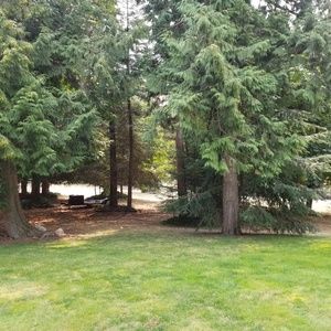 Meet your Posher, Chava